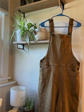Women's toad &co Brown Denim Overalls